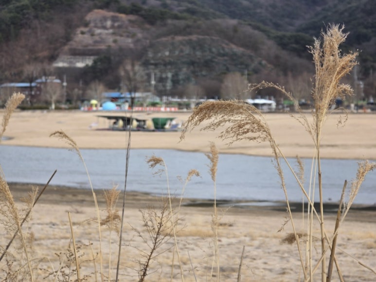 우리농민주유소 이미지