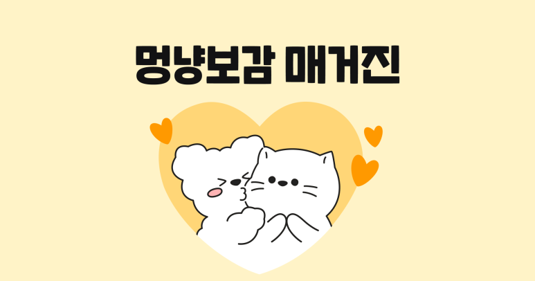 뽀감 이미지