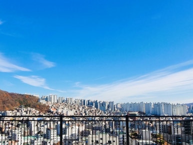 위드펫 이미지