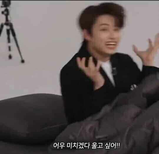 돼지33 이미지