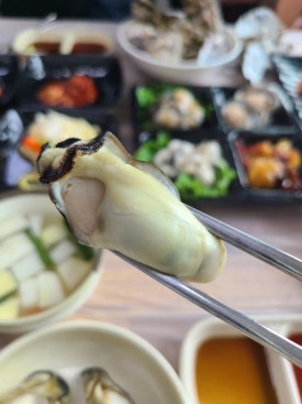 바다쭈꾸미 이미지
