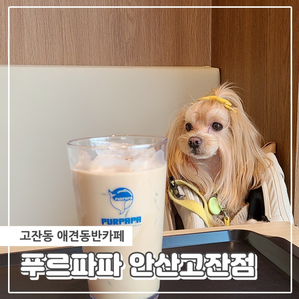 푸르파파 안산고잔점 이미지