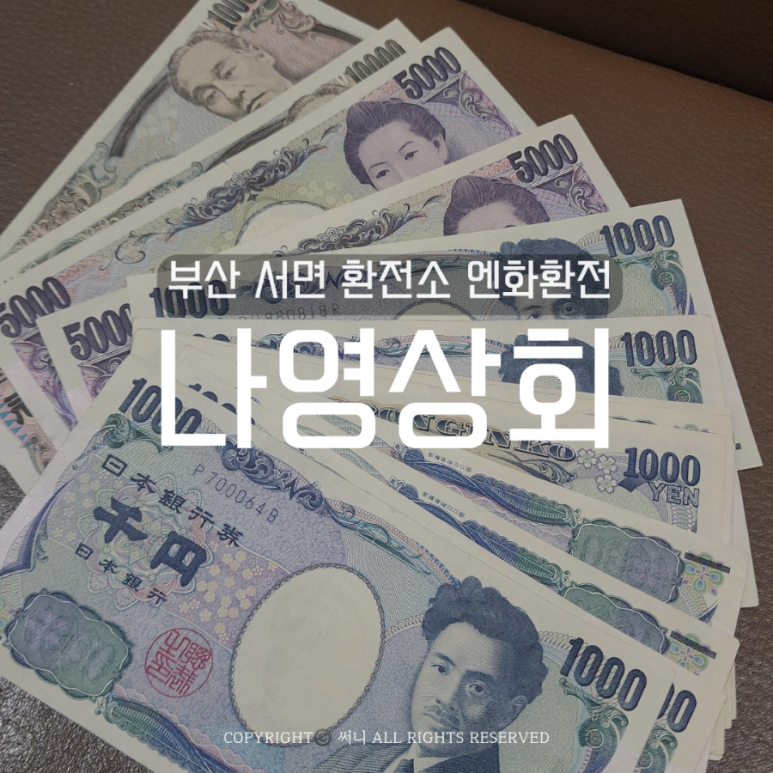 나영상회 이미지
