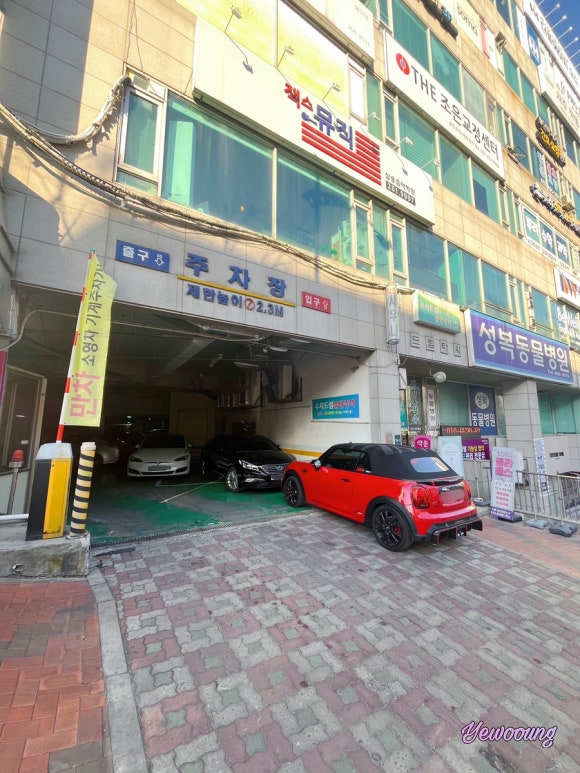 파파존스수지성복 이미지