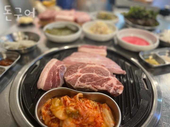 돈구어 이미지
