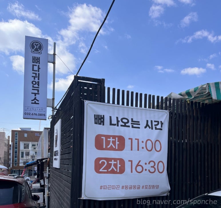 뼈다귀연구소 이미지
