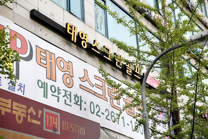 태영스크린 이미지