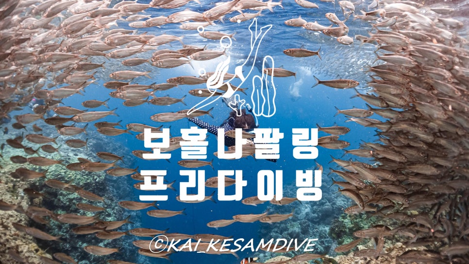 몽키다이브 이미지