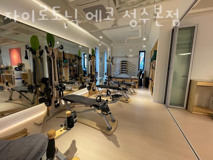 자이로토닉에코 이미지