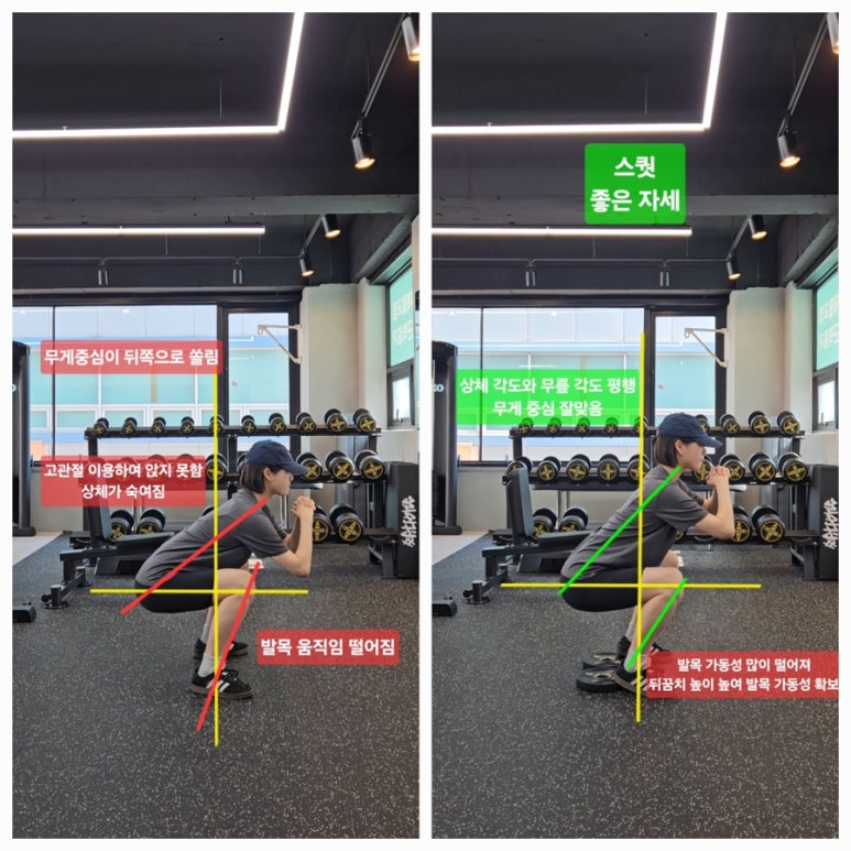 엠제이핏PT 이미지