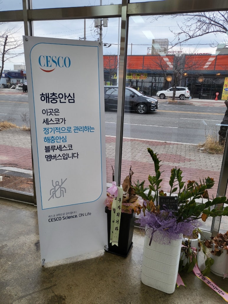 육격 이미지