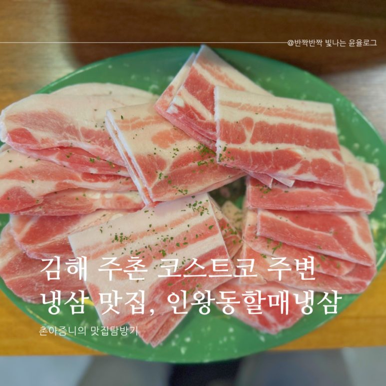 인왕동할매냉삼 이미지