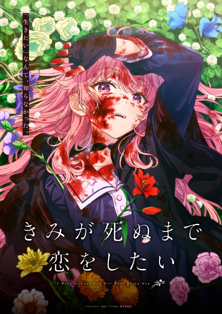키미 이미지