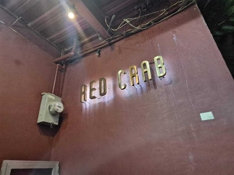 레드빙빙 이미지