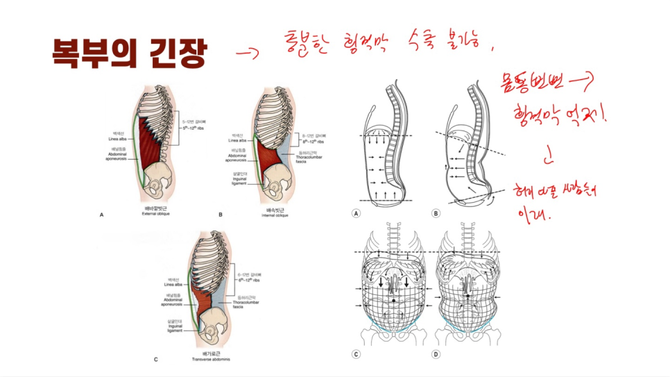 김나시온 이미지