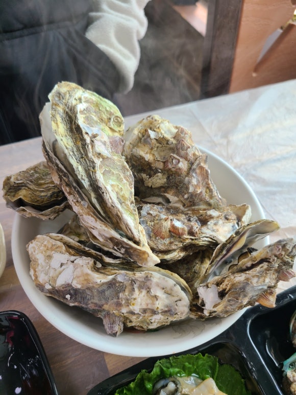 바다쭈꾸미 이미지