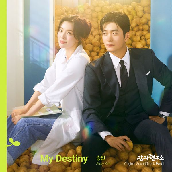 마이데스티니(MYDESTINY) 이미지