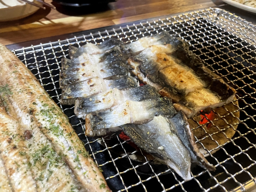 더힘찬장어 이미지