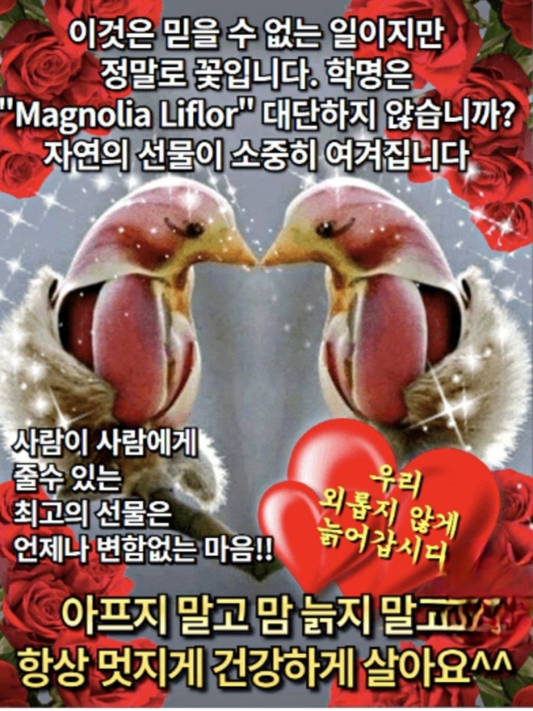 수지상사 이미지