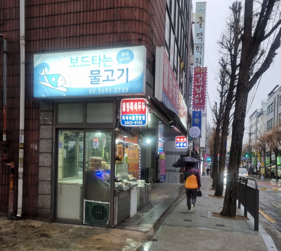 보드타는물고기 이미지