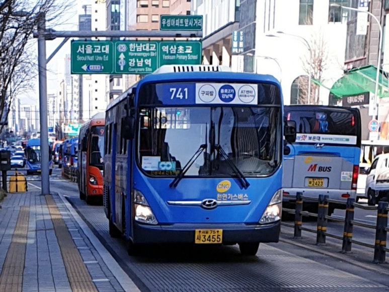 꽃진관 이미지