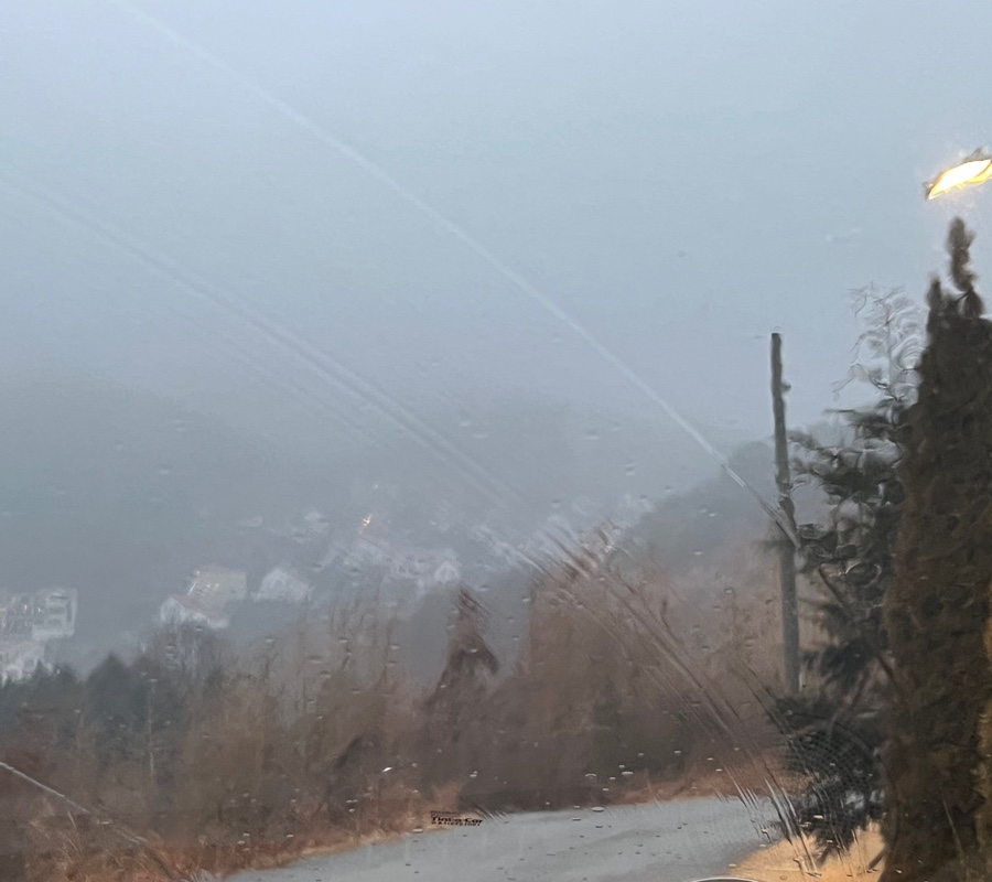 할로브리즈 이미지