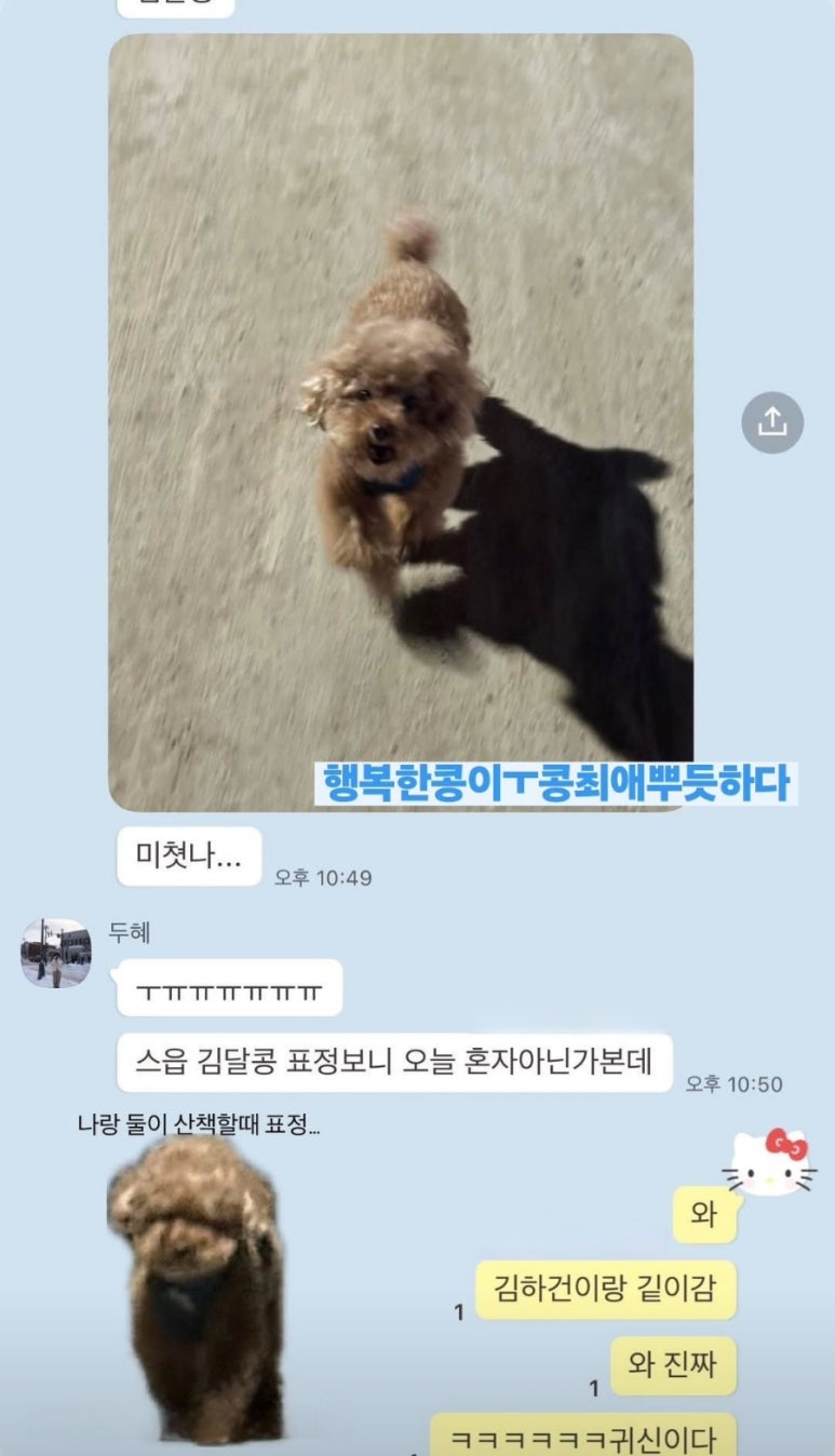 띵동 이미지