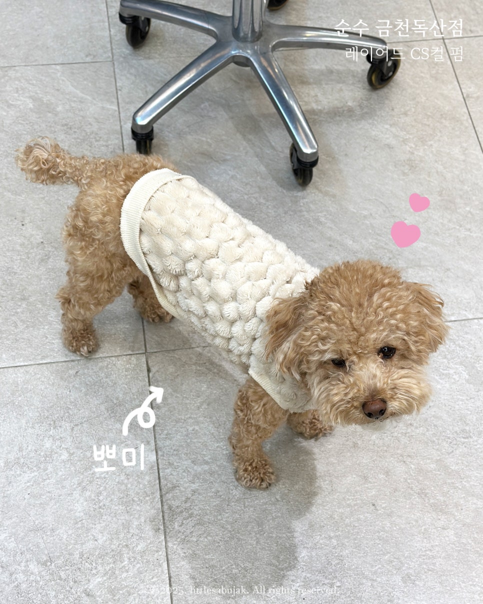순수 금천독산점 이미지