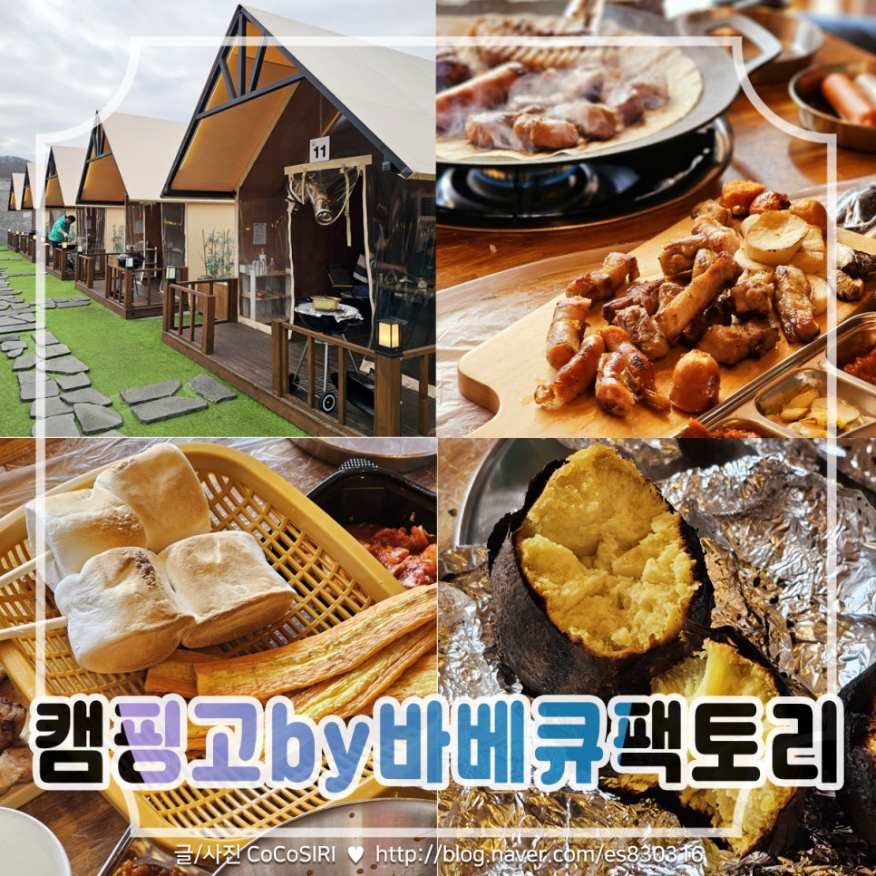 캠핑고 이미지