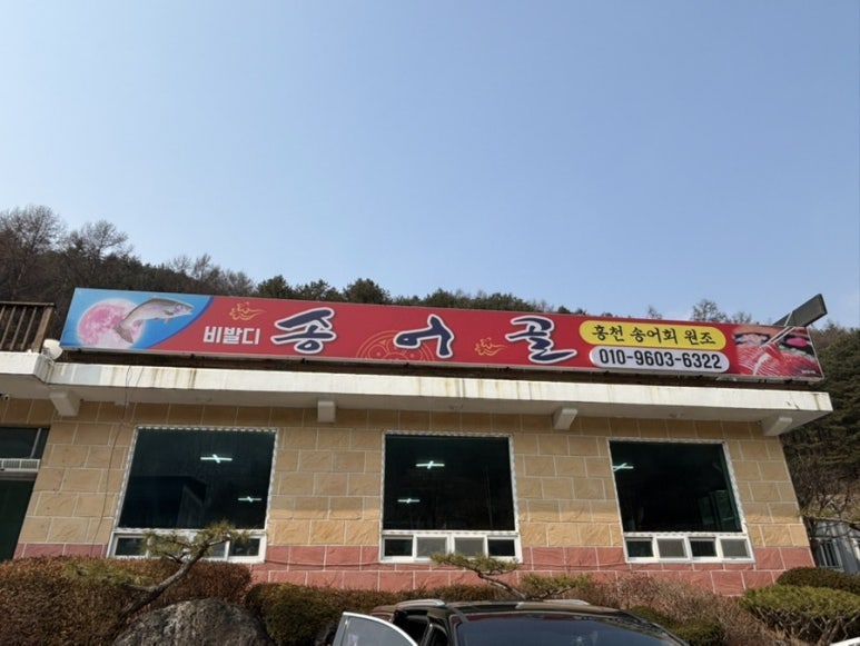 비발디송어골 이미지