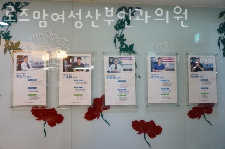 로즈맘산부인과 이미지