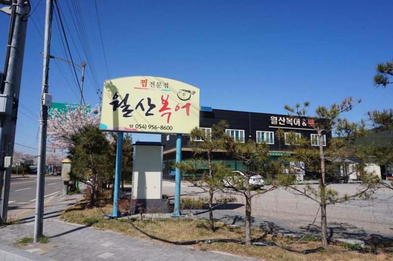 월산복어 이미지