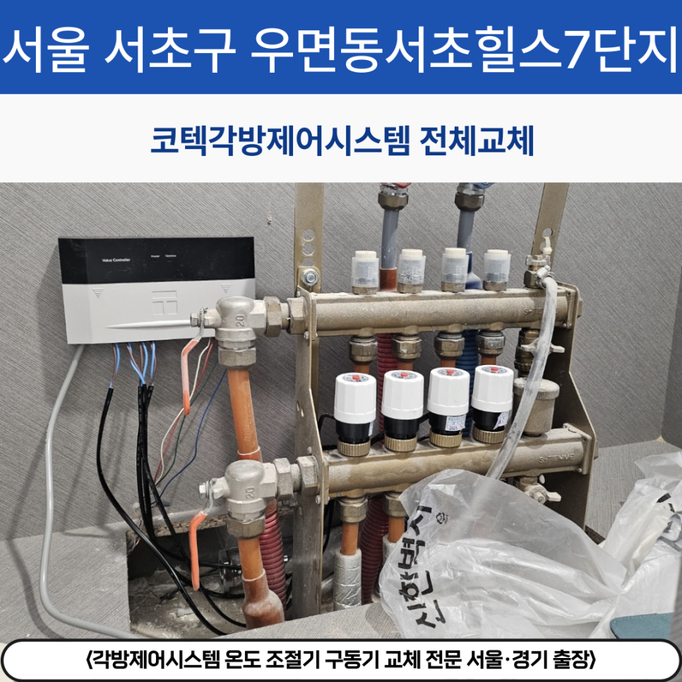 셈셈(sem sem) 이미지