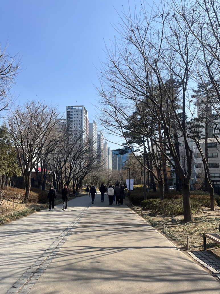만월무스비 이미지