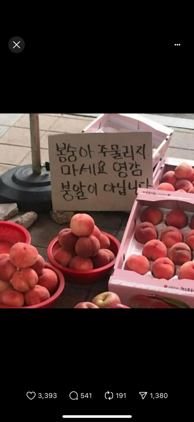 그레이핍플 이미지