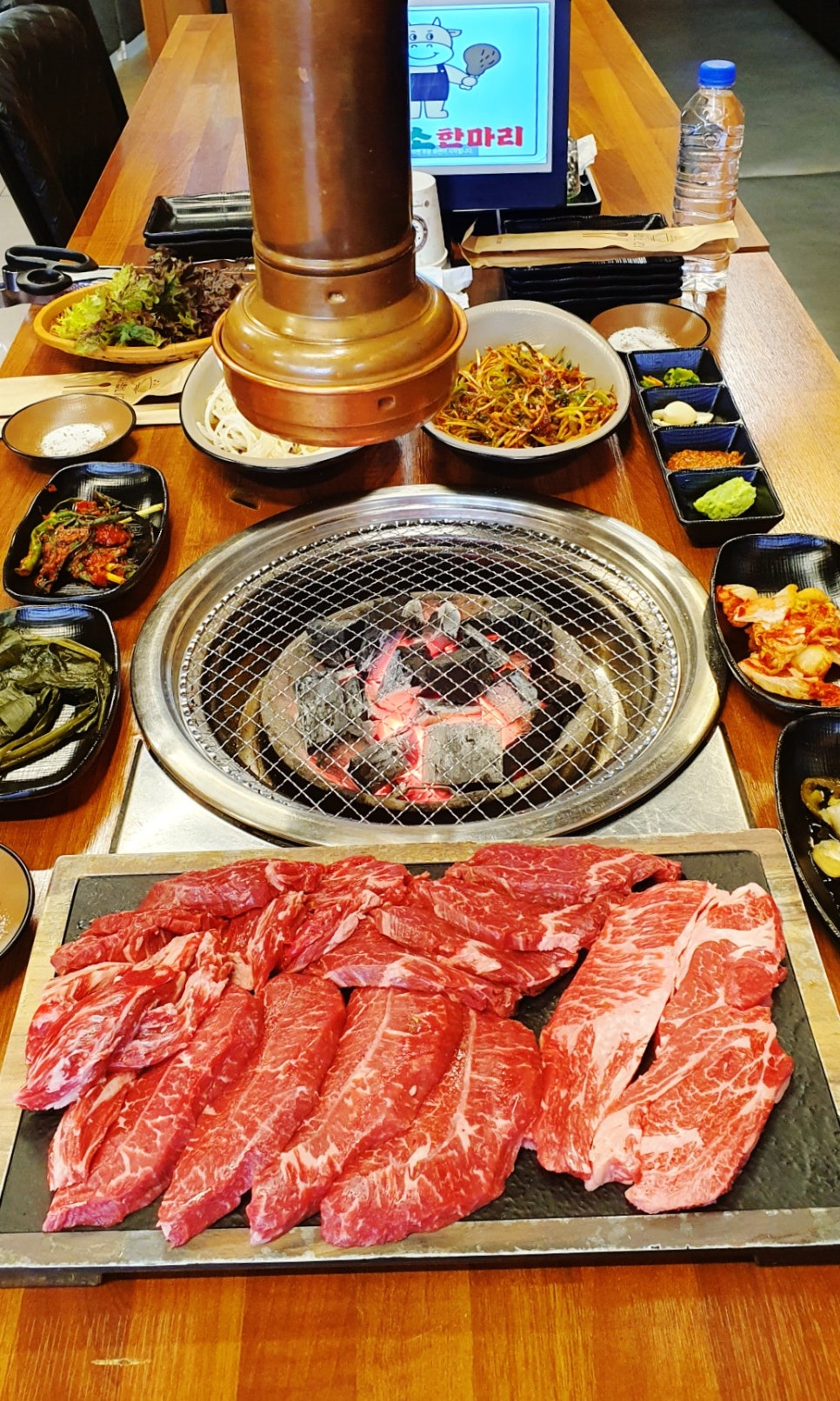 힘쎈소한마리 이미지