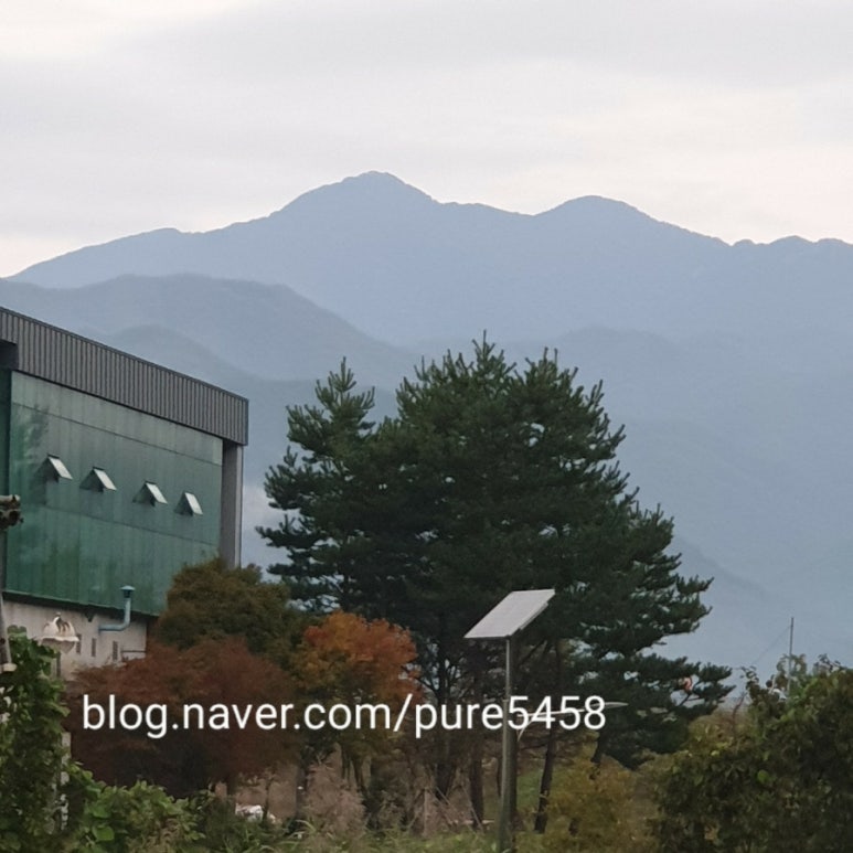 자양보오토캠핑장 이미지