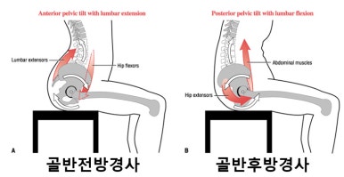 트레이닝데이 피트니스 이미지
