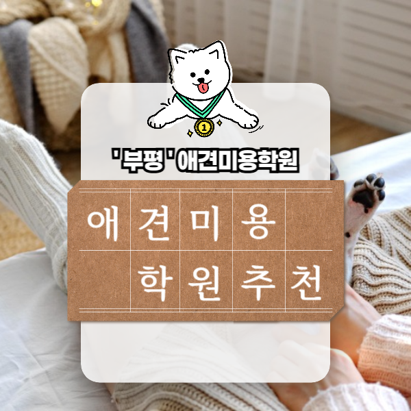부평 애견미용학원 추천: 수강료, 자격증 취득 과정