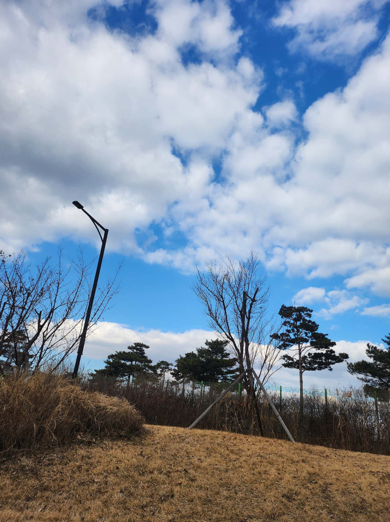 즐거움의힘어학원 이미지