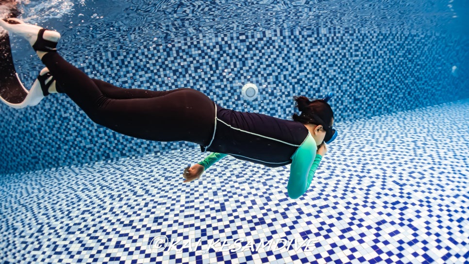 몽키다이브 이미지