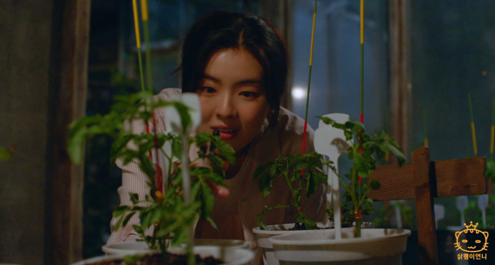 별별연구소 이미지
