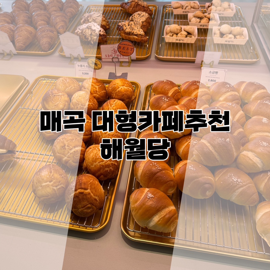 해월당와우시티점 이미지