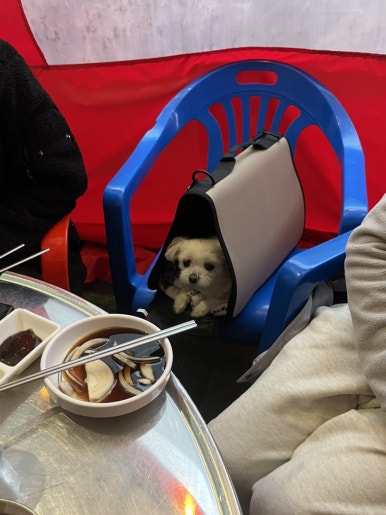 가능뒷고기 이미지