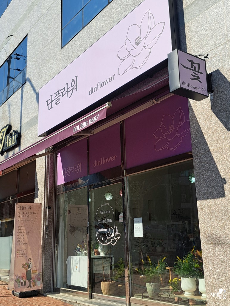 딘플라워 이미지
