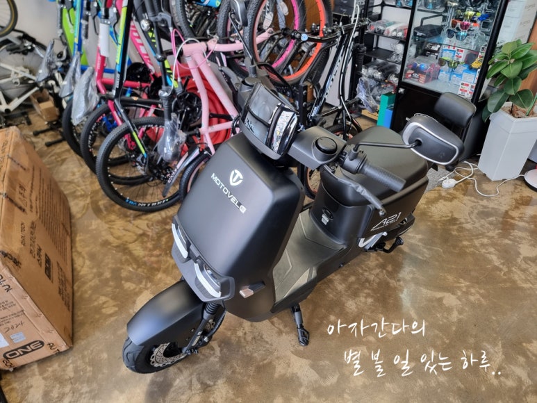 용원MTB 이미지