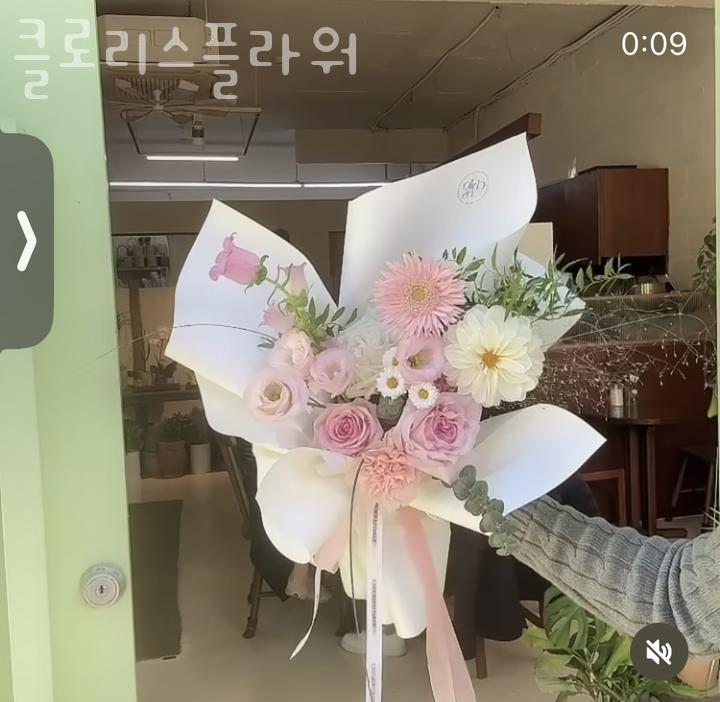 클로리스플라워 이미지