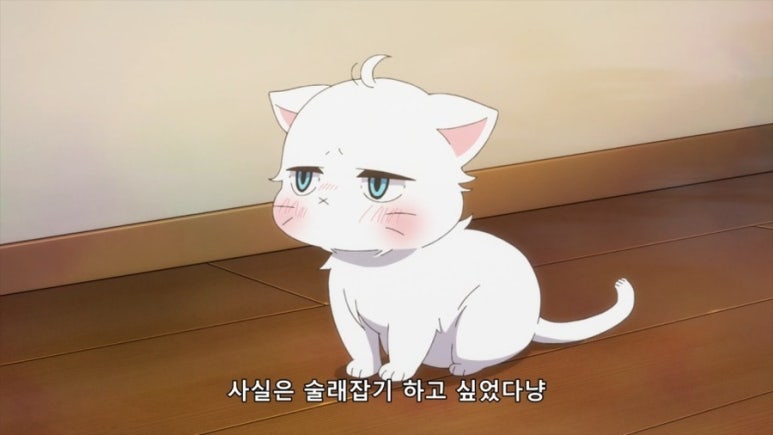 동성상사 이미지