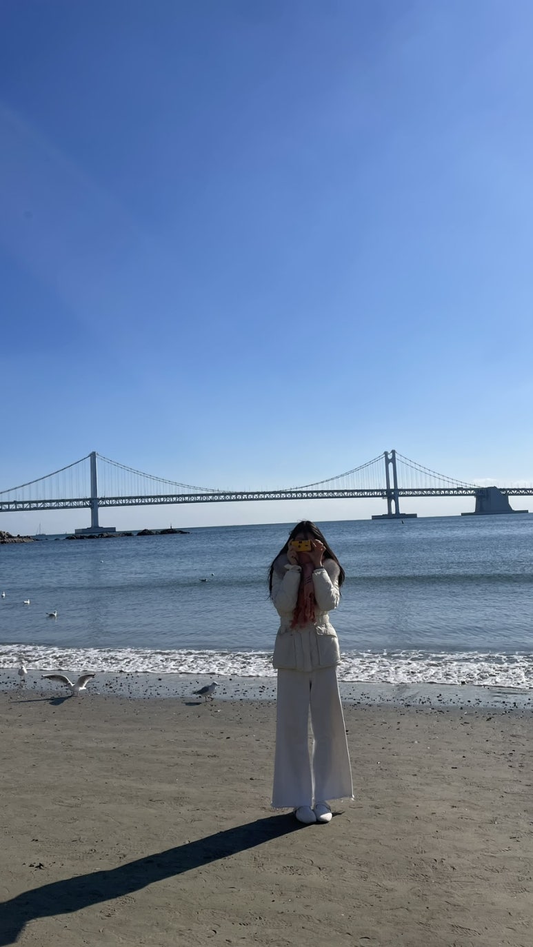 붕맥 이미지