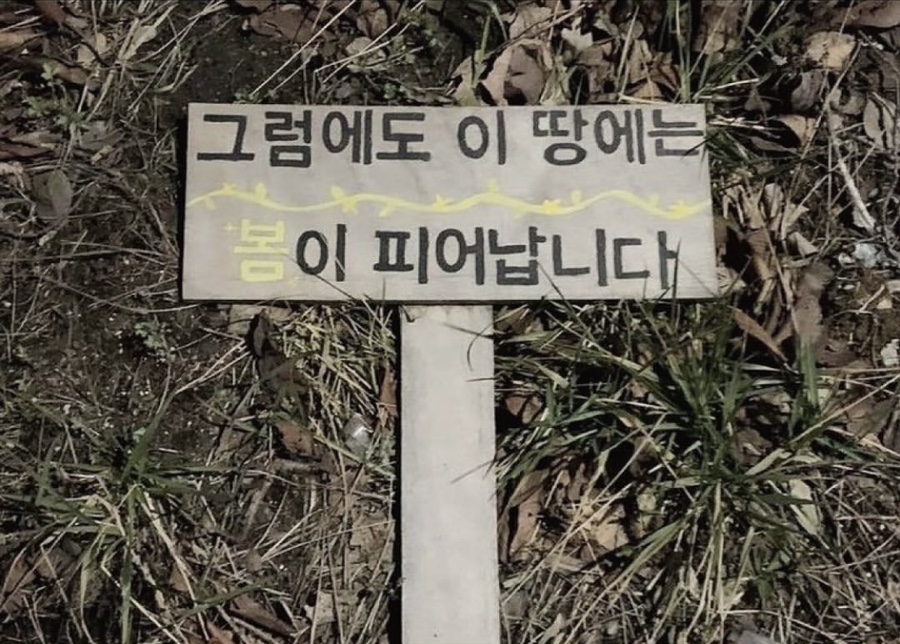 파란나라 이미지